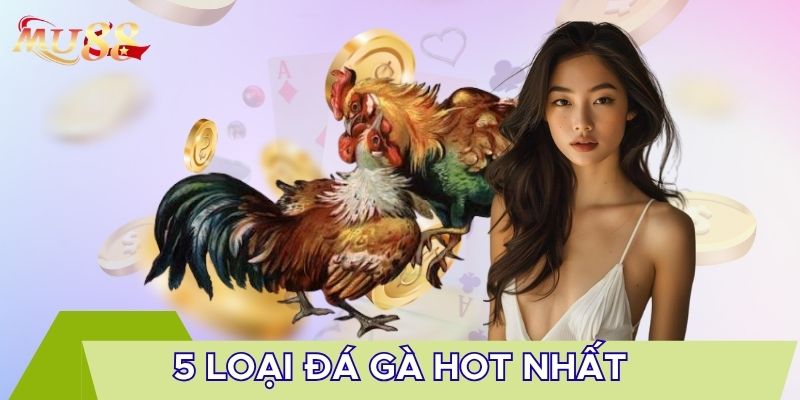 5 loại đá gà hot nhất