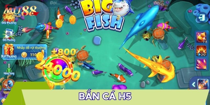 Trải nghiệm bắn cá H5 nhiều thiết bị