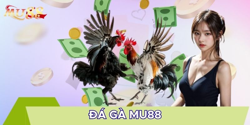 Sơ lược thông tin chung đá gà MU88