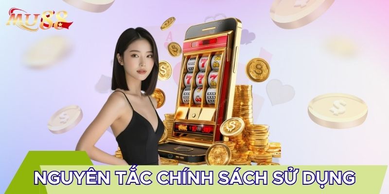 Nguyên tắc chính sách sử dụng