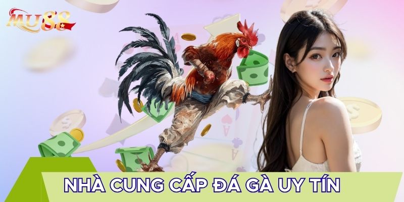 Nhà cung cấp đá gà uy tín