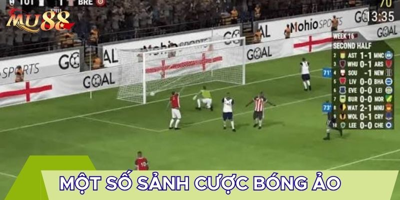 Một số sảnh cược bóng ảo