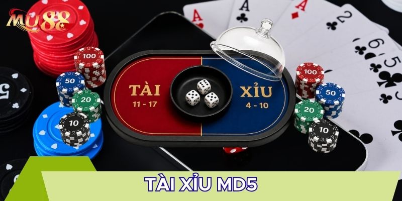 Thông tin tài xỉu MD5